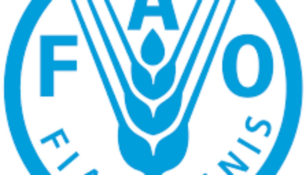 Investment Support Officer Vacancy Job Ref: VACFAO1831-37